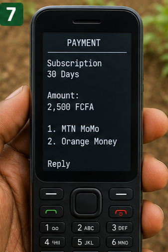 SAMS USSD subscription payment options using mobile money